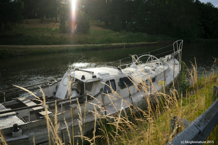 Croisière fluviale sur le canal de Digoin à Roanne. Les Canalous / 13 et 14 juin 2015